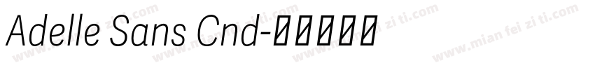 Adelle Sans Cnd字体转换